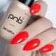Гел лак PNB 8 мл 112